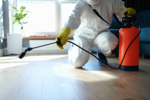 Reliable Odor Removal contractor in Clark, SD by Trauma Clean Pros